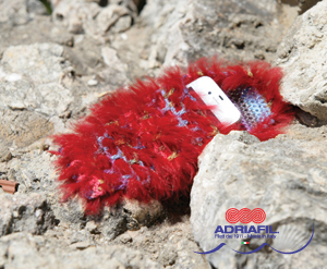 Pochette pour portable