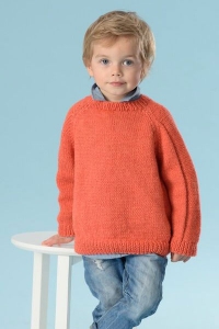 126/07 Plull à fantaisie en jersey envers en Plassard Week-end