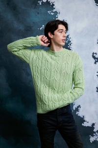 286-31 Modèle Cameron Pull Unisexe en Lang Yarns Merino+