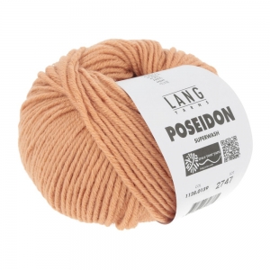 Lang Yarns Poseidon - Pelote de 50 gr - Coloris 0159 Tangerine