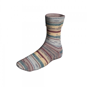 Lang Yarns Super Soxx Color 4-ply - Pelote de 100 gr - Coloris 0495 Pierre/Marron 1141 Chiron