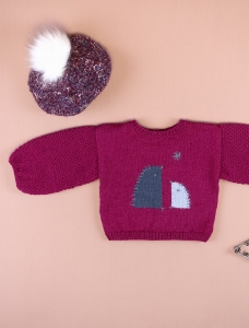 194/24 Modèle Pull en Plassard Tendressima et Evanescent