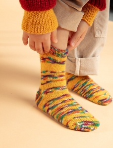 196/05 Modèle Chaussettes à rayures en Plassard Festiva et Tradi Merino