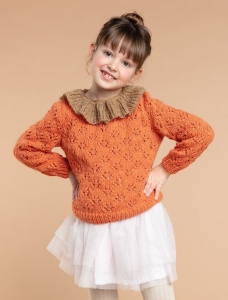 196/06 Modèle Pull à col volenté en Plassard Addict et Evanescent
