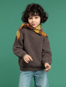 196/15 Modèle Pull sans coutures en Plassard Basic