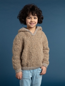 196/19 Modèle Pull à capuche en Plassard Toudoux
