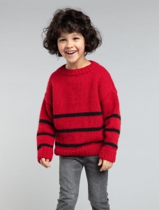 196/22 Modèle Pull en Plassard Primo