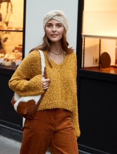 202/25 Modèle Pull à col V en Plassard Froiselle