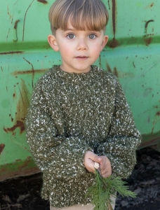 203/19 Modèle Pull sans coutures en Plassard Froiselle