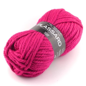 Plassard Top - Pelote de 300 gr - Coloris 34