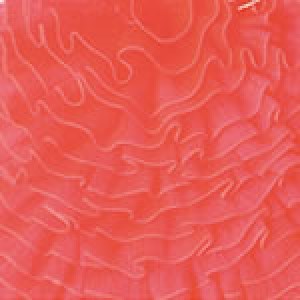 Plassard Tango Néon - Echeveau de 100 gr - 103