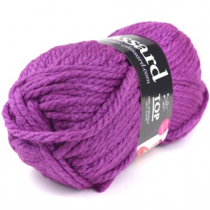 Plassard Top - Pelote de 300 gr - Coloris 604